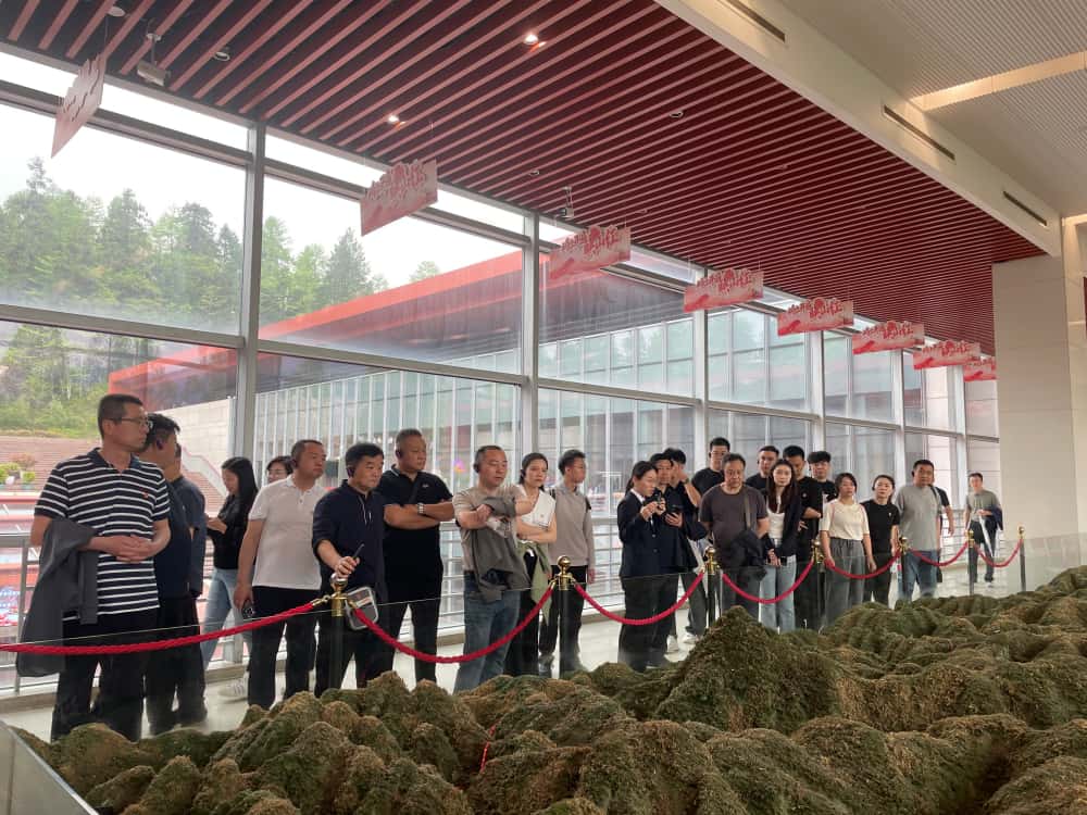 新疆金谷房地产、金谷物业井冈山红色培训班